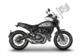 Todas las piezas originales y de repuesto para su Ducati Scrambler Street Classic Thailand 803 2018.